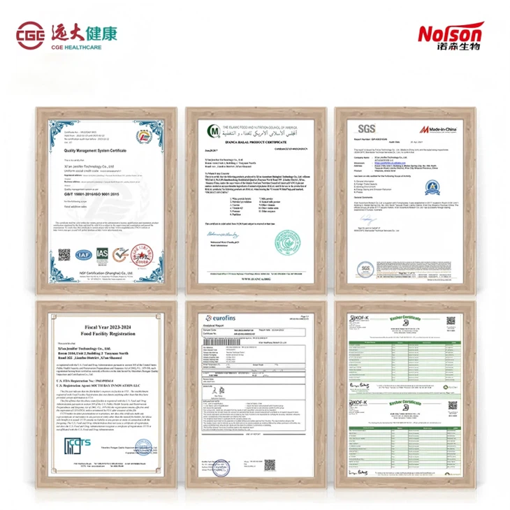 Bifidobacterium Longum