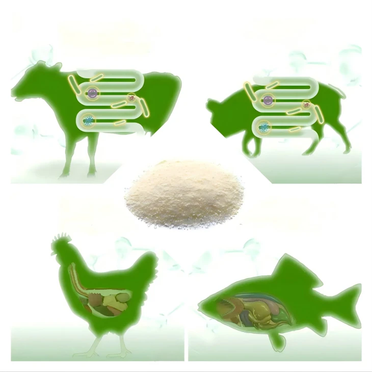productcate-1-1 Feed Grade Lactobacillus Plantarum