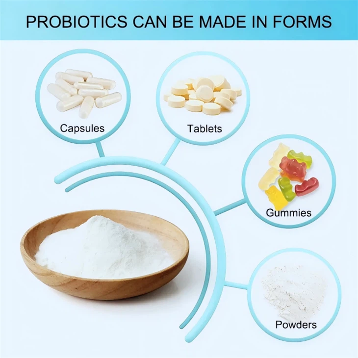 Lactobacillus Paracasei