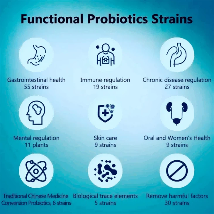 Lactobacillus Plantarum