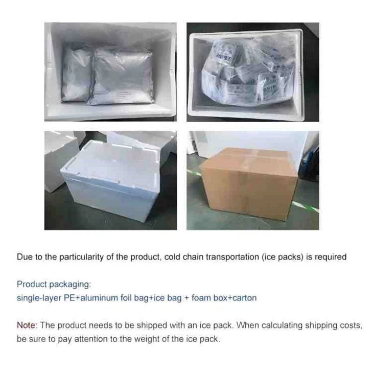 Pediococcus Pentosaceus