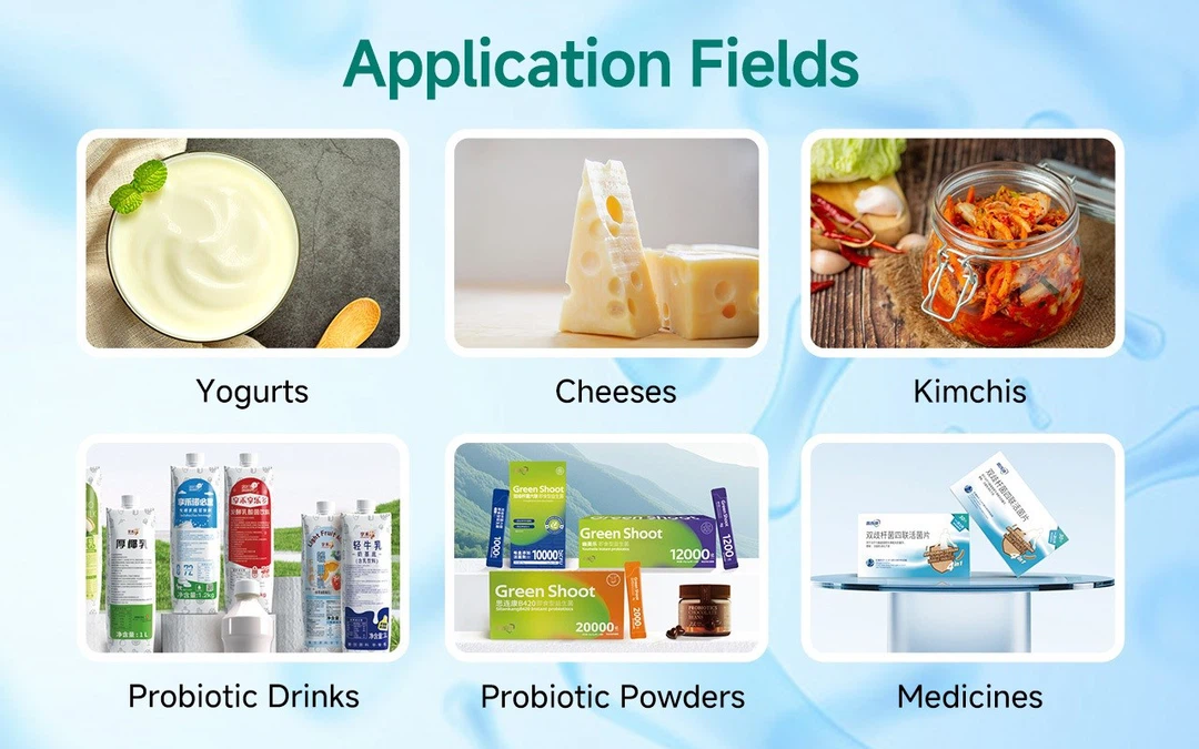 Bifidobacterium Lactis Animalis Application Fields Bifidobacterium Lactis Animalis Application Fields