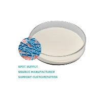 What are the scientific studies on Saccharomyces Boulardii?