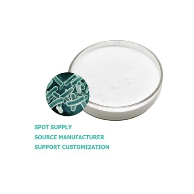 Lactobacillus Paracasei